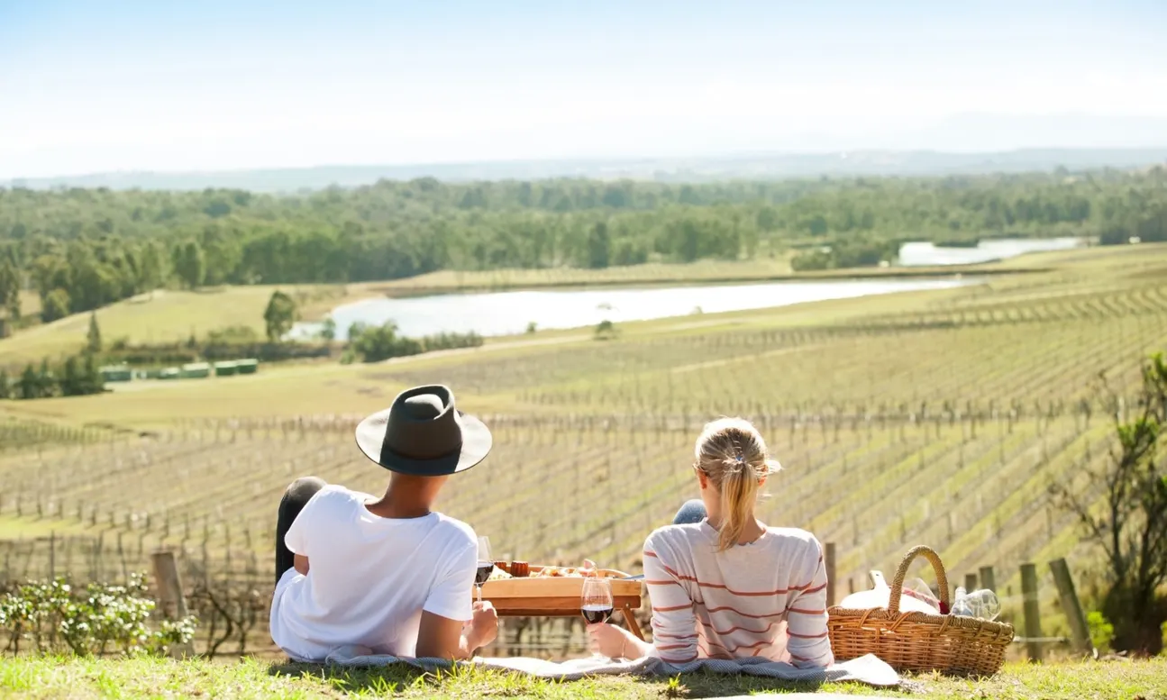 Picnic and Wine Tasting Experience at Audrey Wilkinson Vineyard in the Hunter Valley
