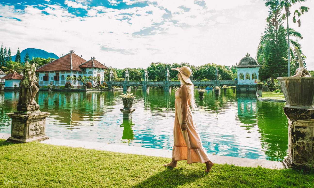 訳あり】バリ島ウォーターヒヤシンスサボテンオブジェ100cm通常38,500