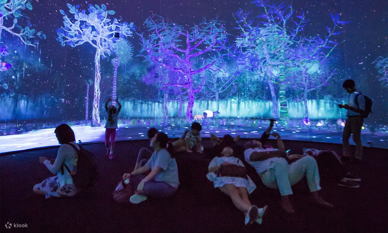 新加坡博物馆通票