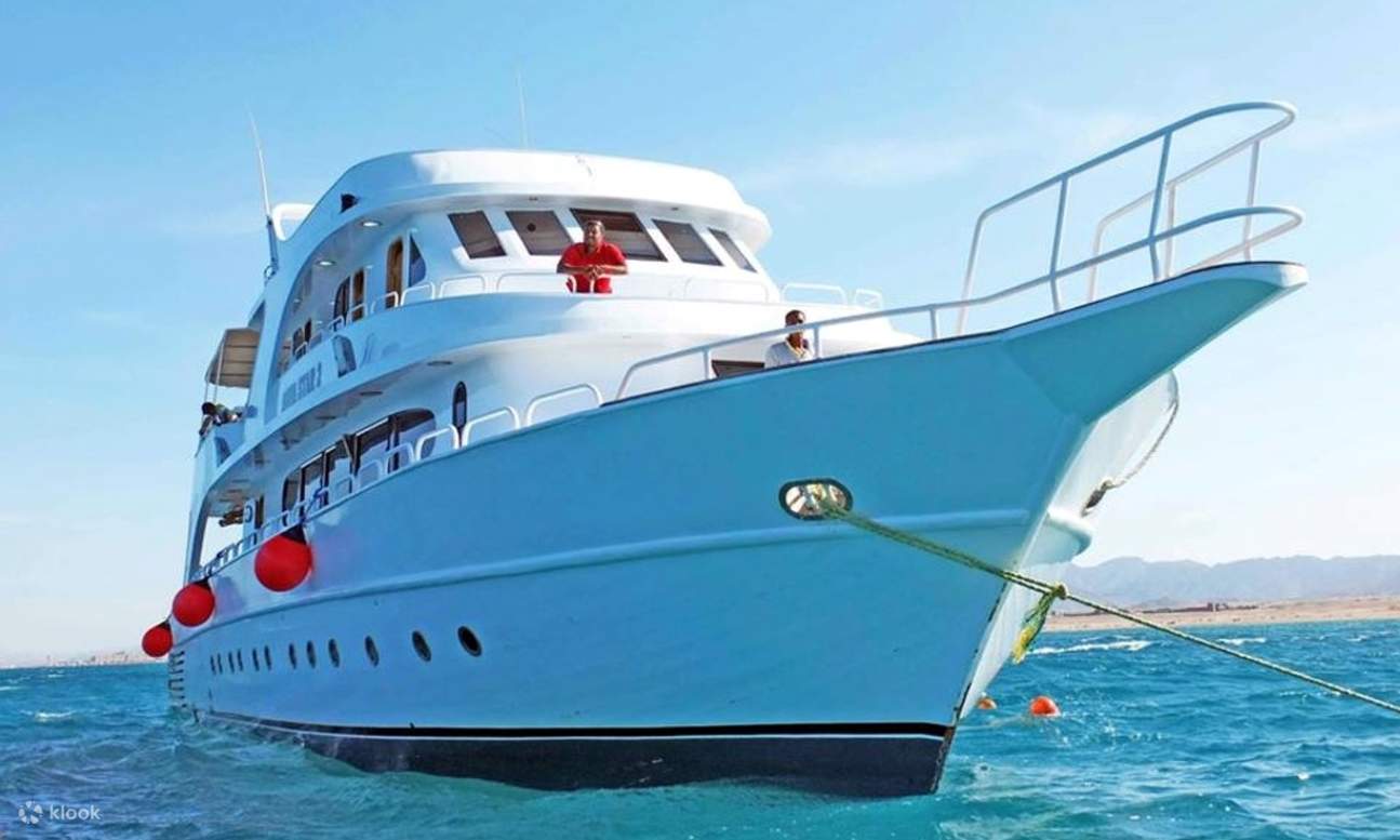 마르사 무바라크 스노클링 & 다이빙 1회 체험 & 점심 식사 - 마르사 알람