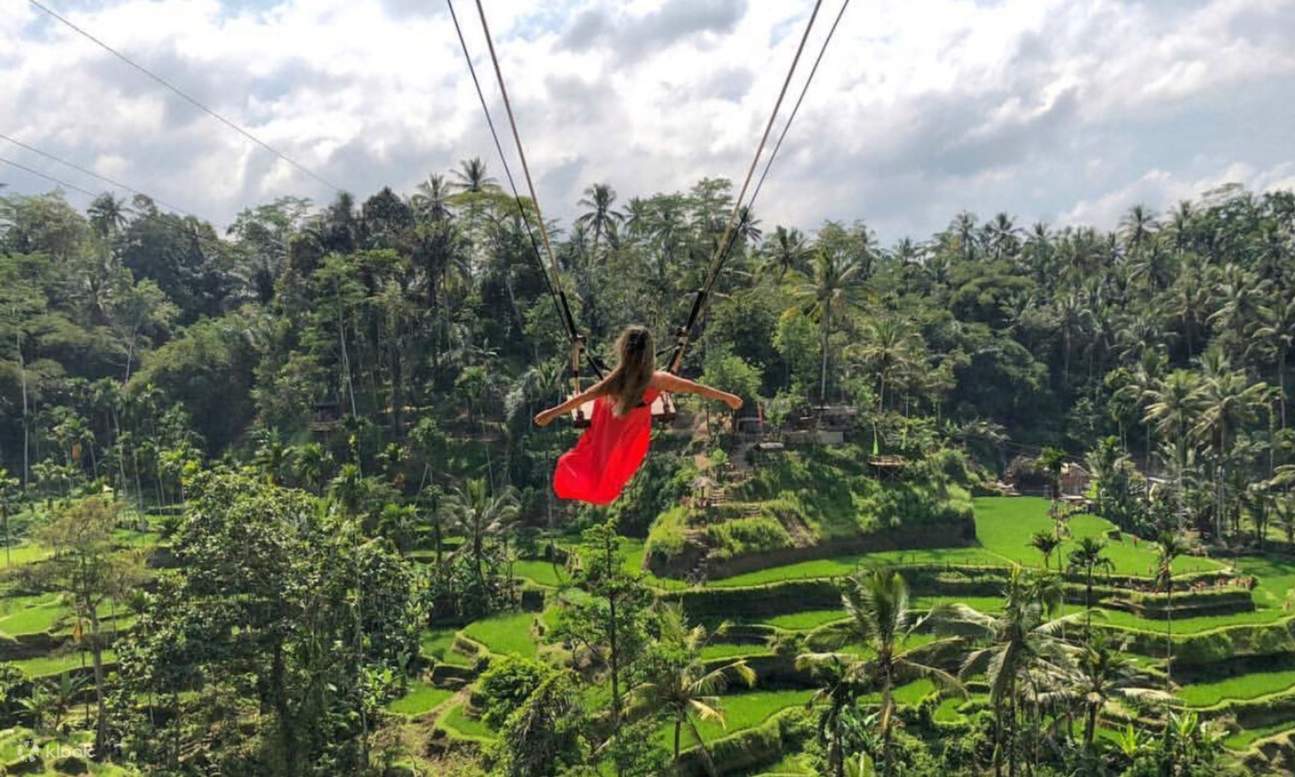 jungle swing in Bali