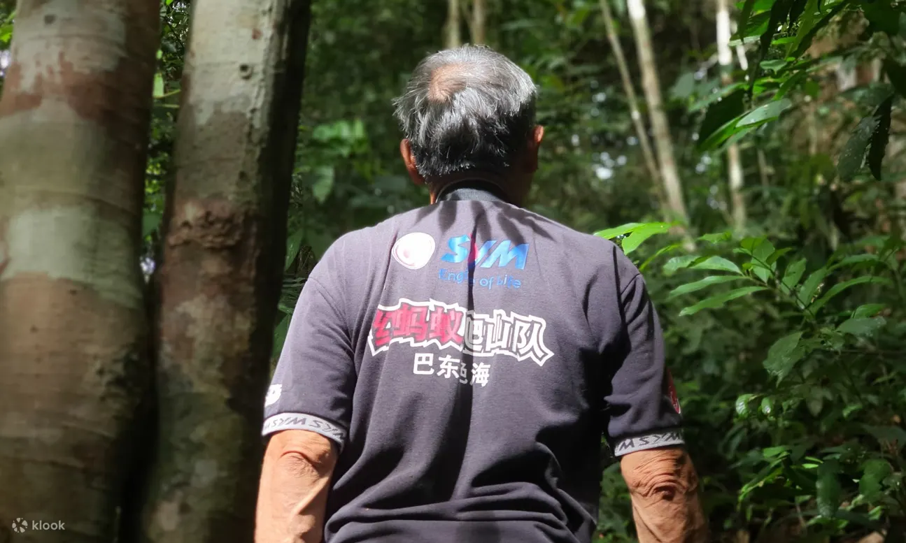 半日森林浴体验