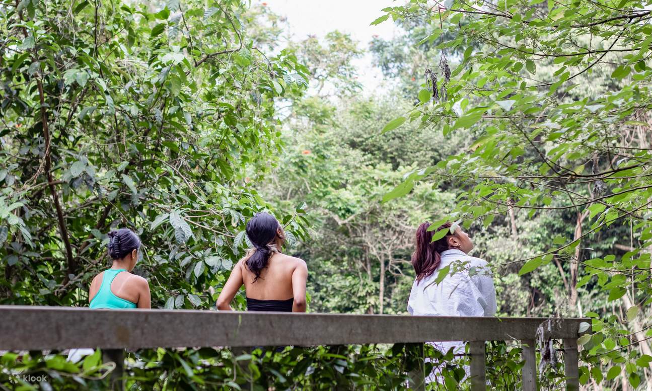 อาบน้ำป่า