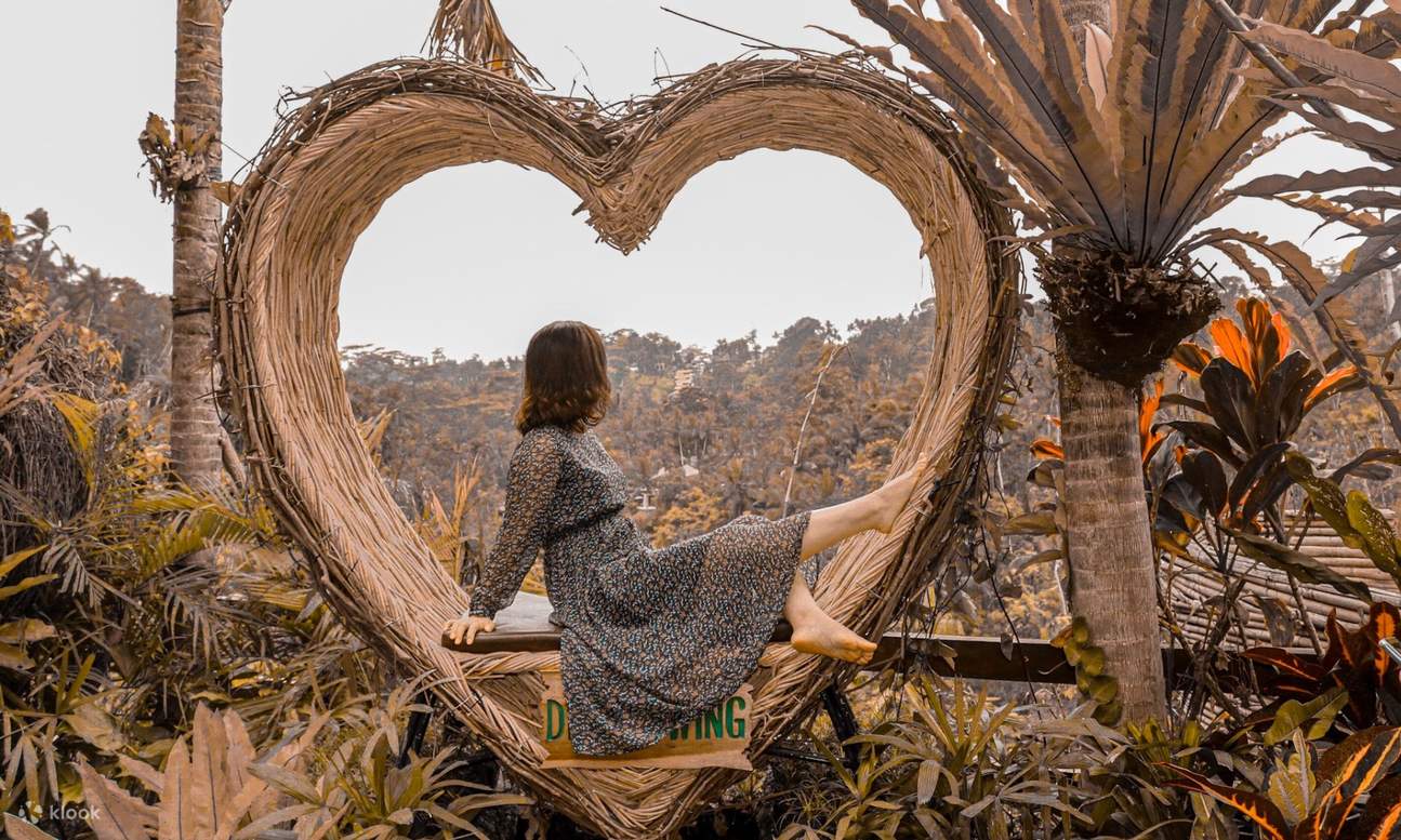 птичье гнездо в форме сердца 