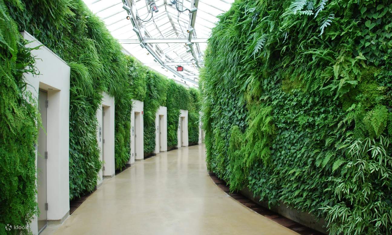 Longwood Gardens Admission Ticket Klook India