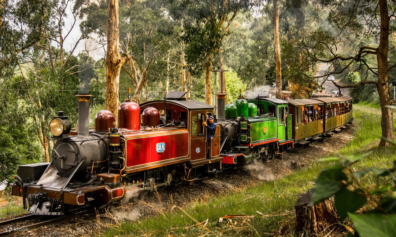 Puffing Billy Rold Puffing Billy, Laluan Hutan & Jelajah Penemuan Yarra Valley - Klook ...