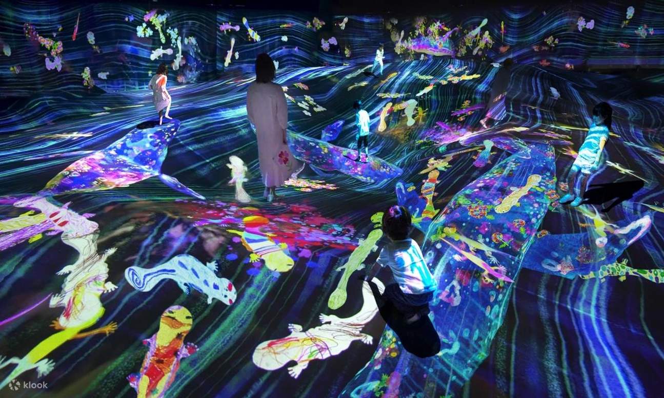 Shenzhen teamlab co creation future exhibition klook united states