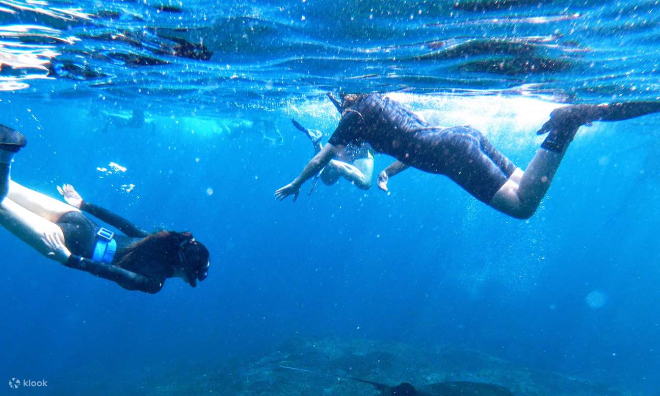 persone che fanno snorkeling