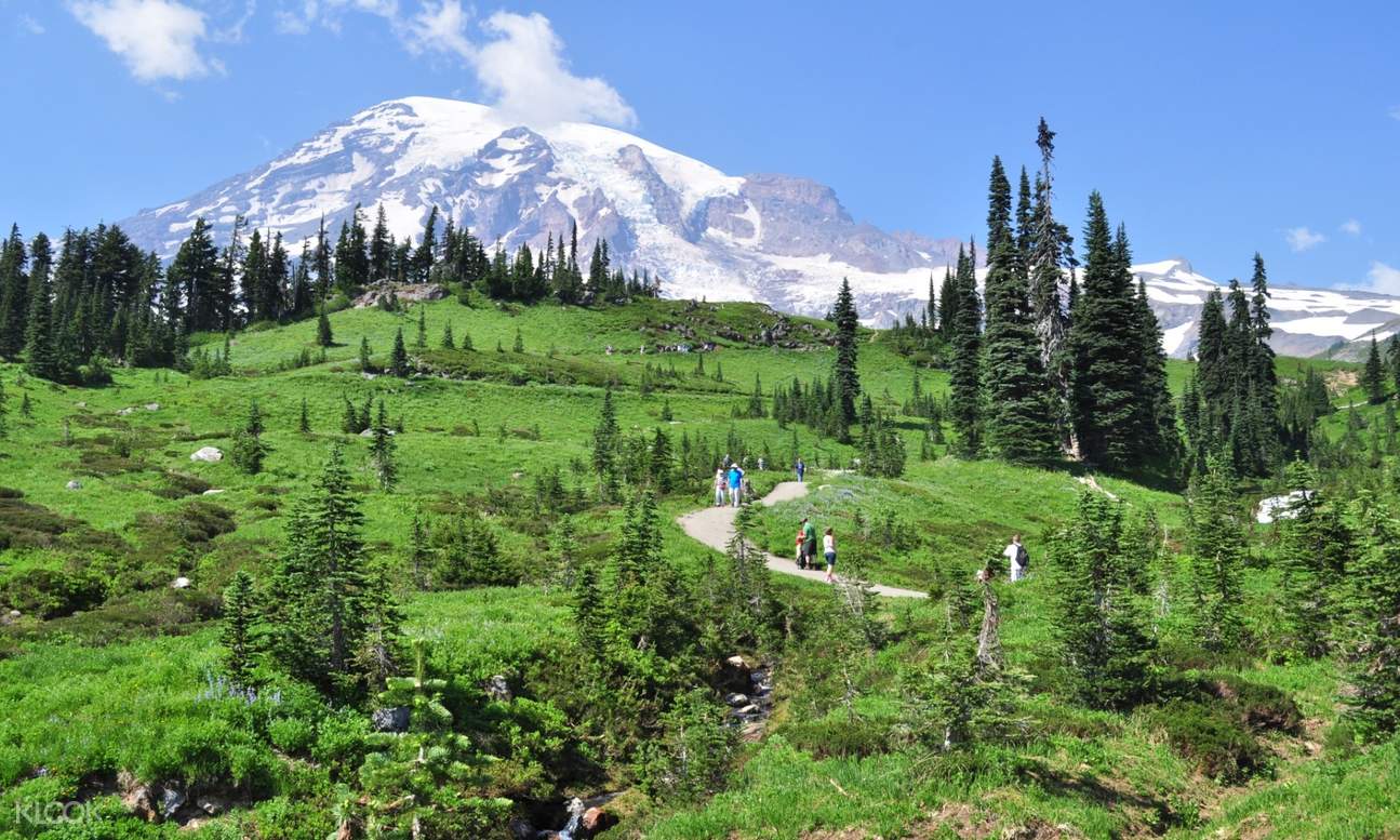 Mount Rainier National Park Full Day Tour Klook US