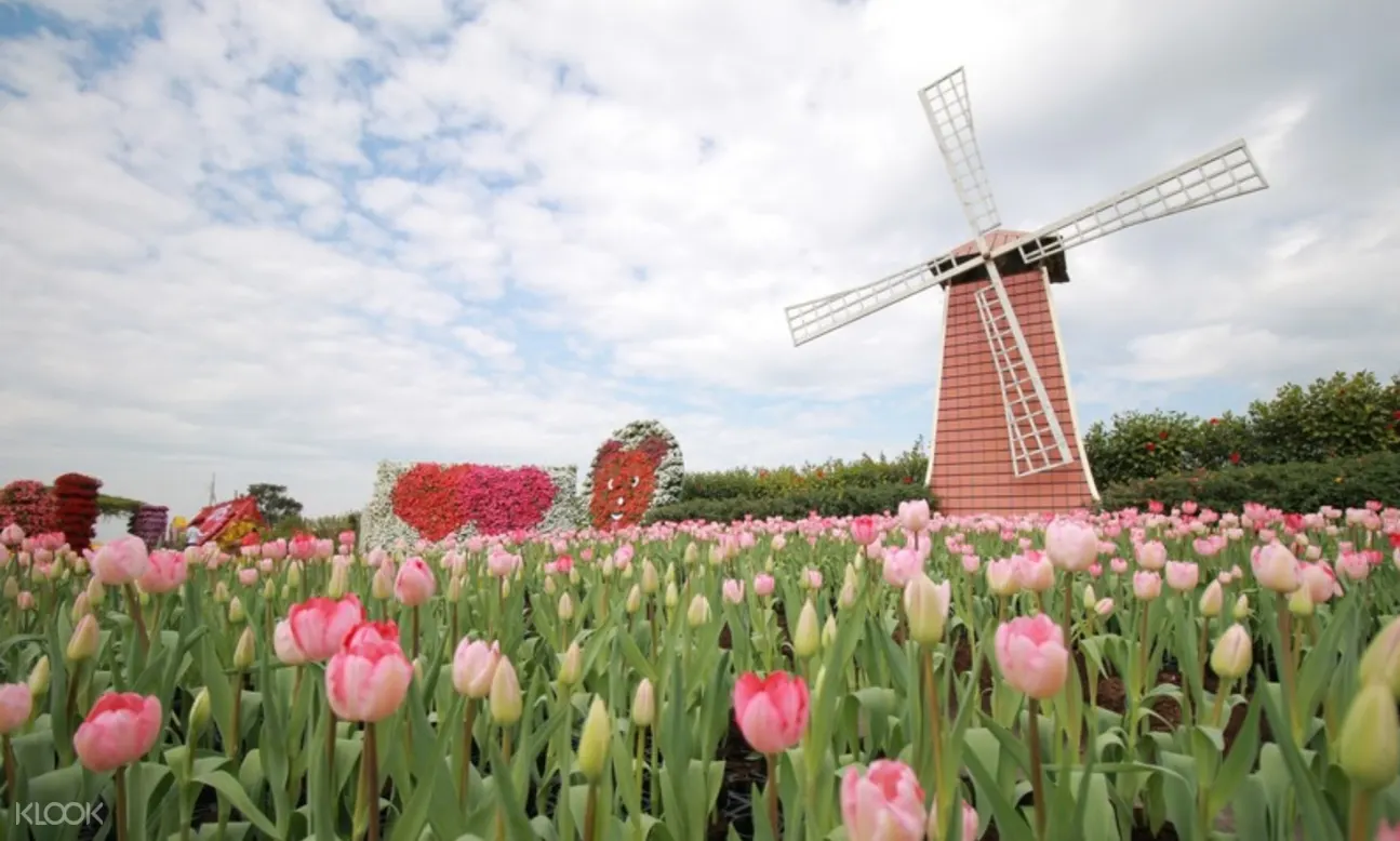 台中 中社花海之旅 Klook客路中国