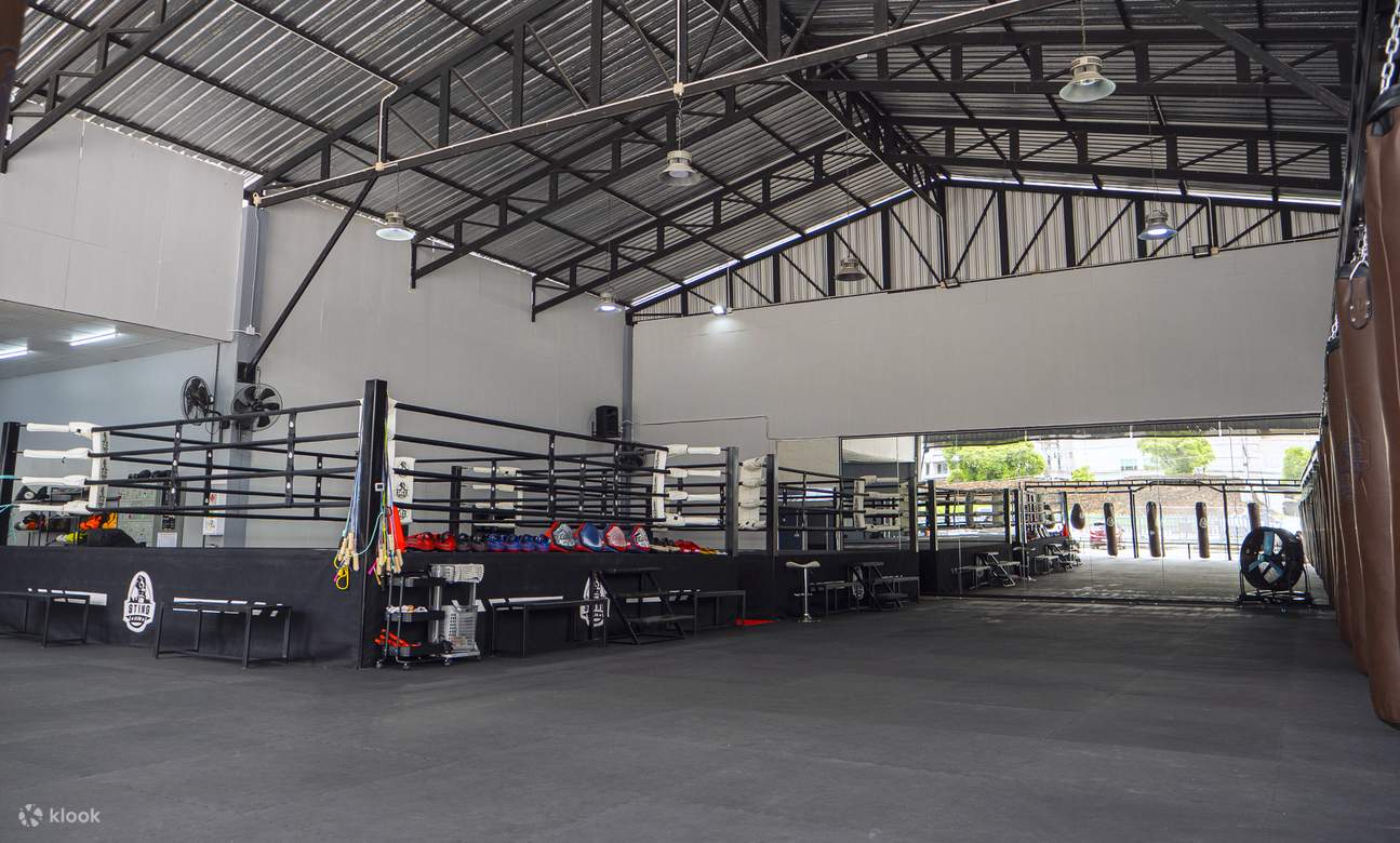 Chiang Mai Muay Thai Boxing Introduction Class for Beginners