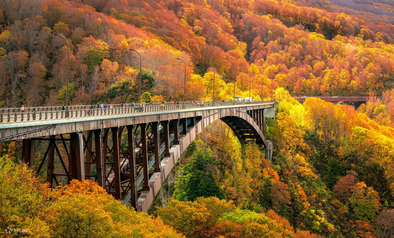 JR East Tohoku Area Pass