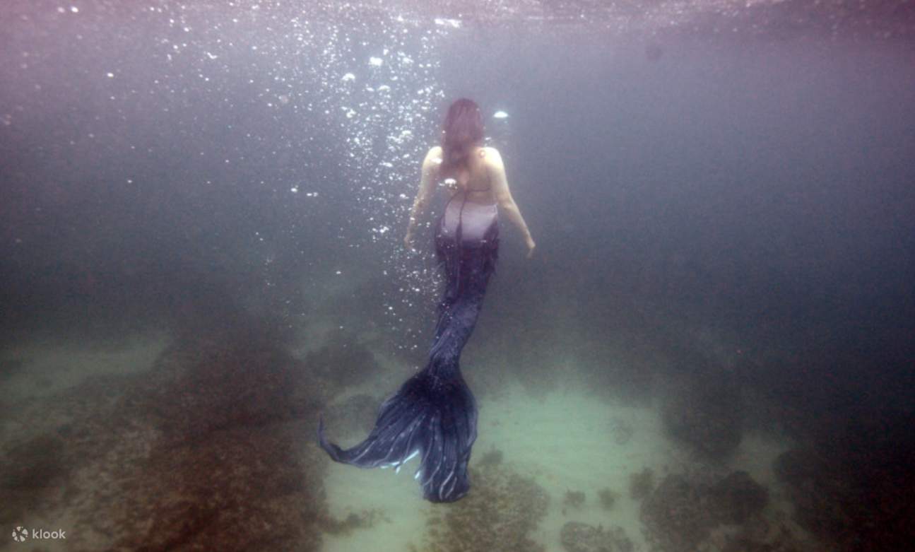 Pengembaraan Mermaid Diving Dibimbing oleh Haenyeo di Jeju