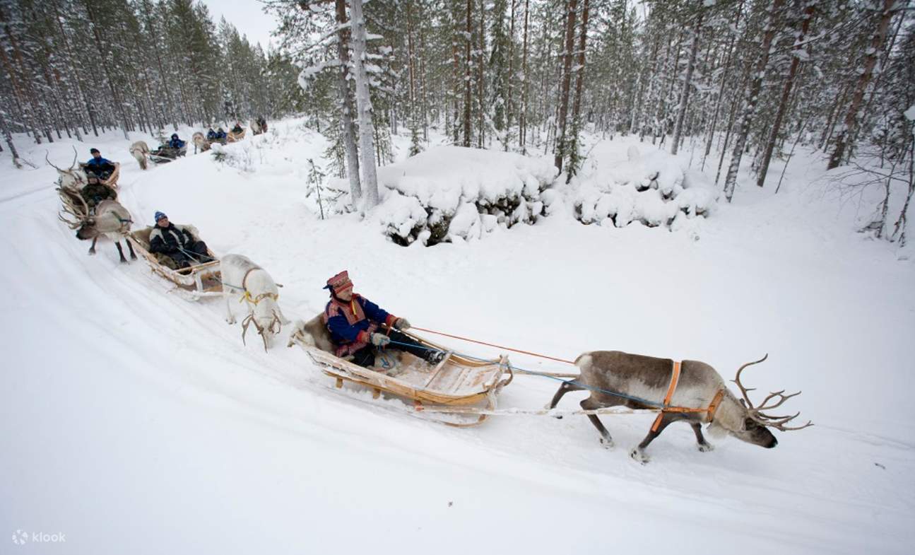 Rentierschlittenfahrt