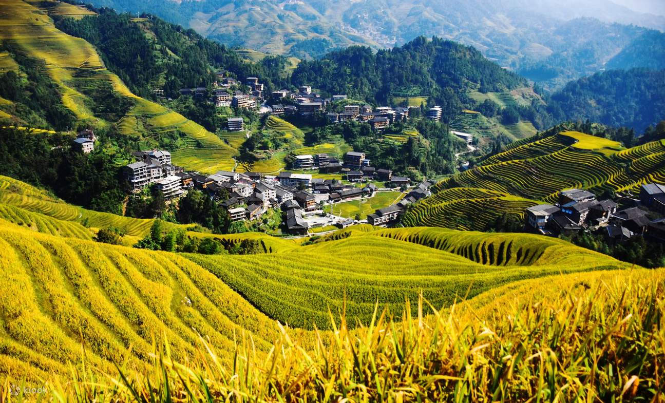 Guilin Private Tour: Longji Rice Terraces and Long Hair Village - Klook