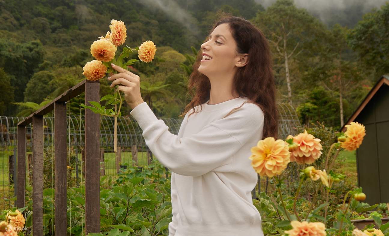 バリファームハウス 入場チケット