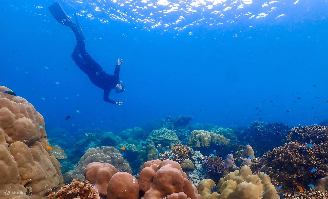 Desde Krabi: Tour de esnórquel en las Islas Surin con comidas