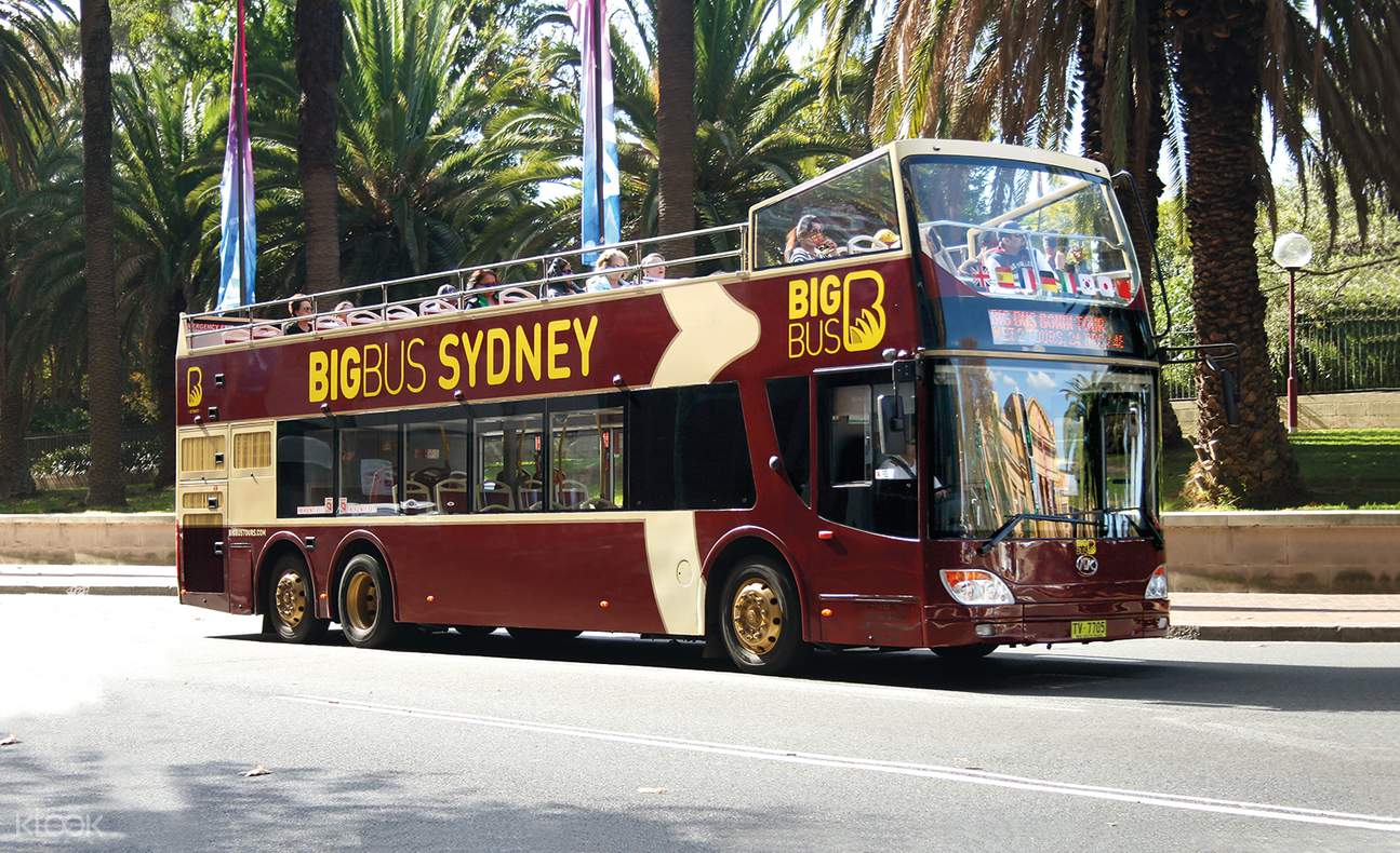 Sydney HopOn HopOff Harbor Cruise and HopOn HopOff Big Bus Combo Klook Australia