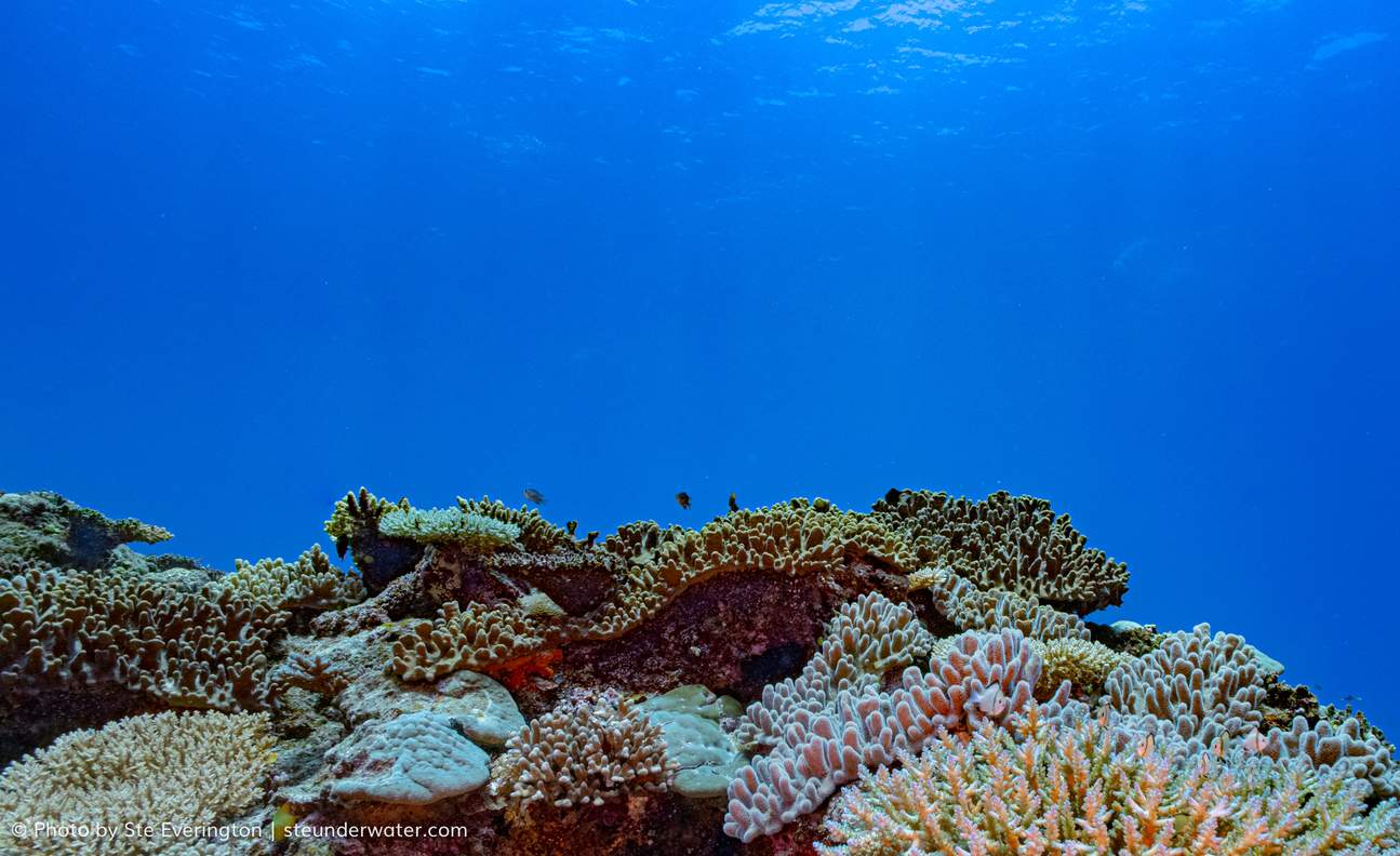 Lặn hai bình bao gồm đến 'The Supermarket'