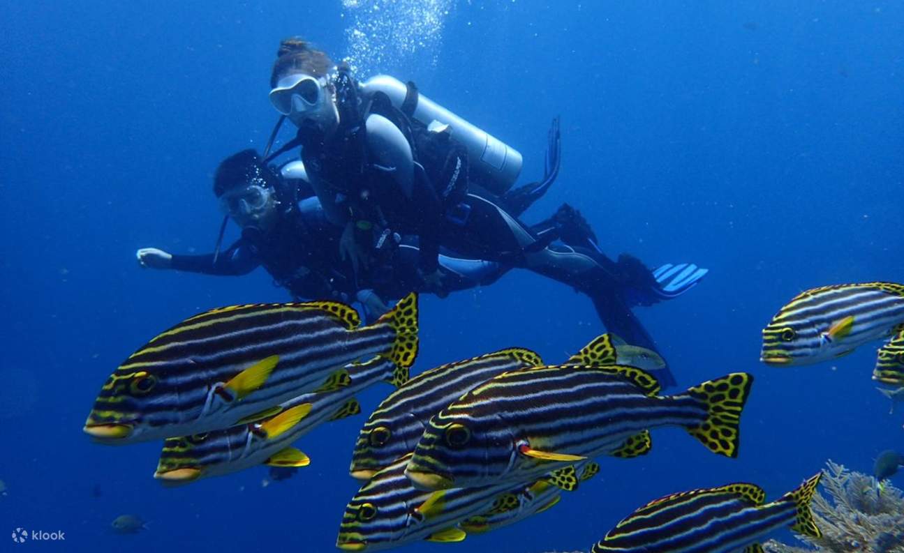 Trải Nghiệm Lặn Bình Dưỡng Khí Dành Cho Người Mới Bắt Đầu ở Bali