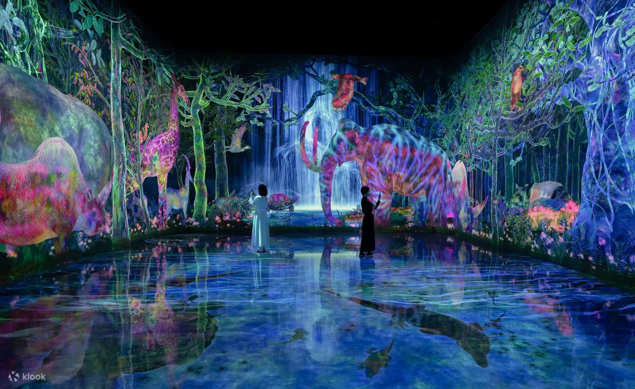 teamLab Planets TOKYO - 捕捉并收集的森林
