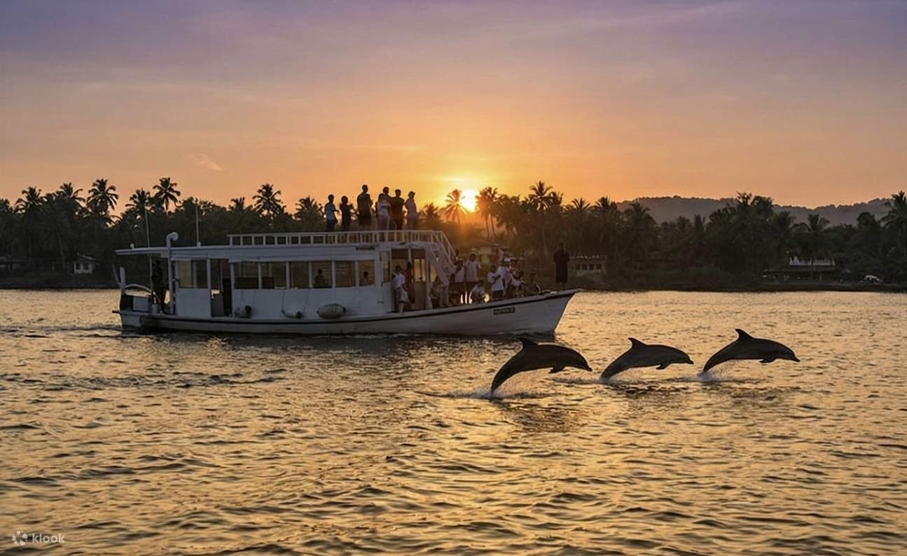 Pantai Baga: Pengalaman Menaiki Lumba-lumba
