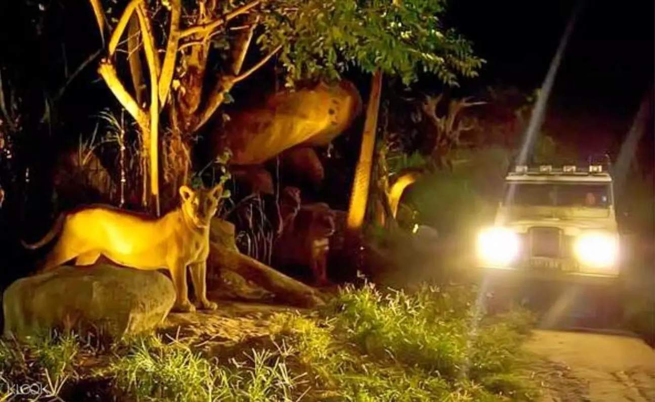 munnar night safari