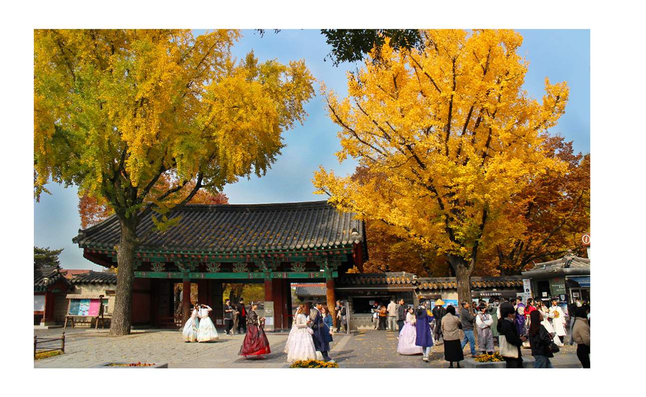 Alquiler de coche con conductor en Seúl a Jeonju (Itinerario personalizado)