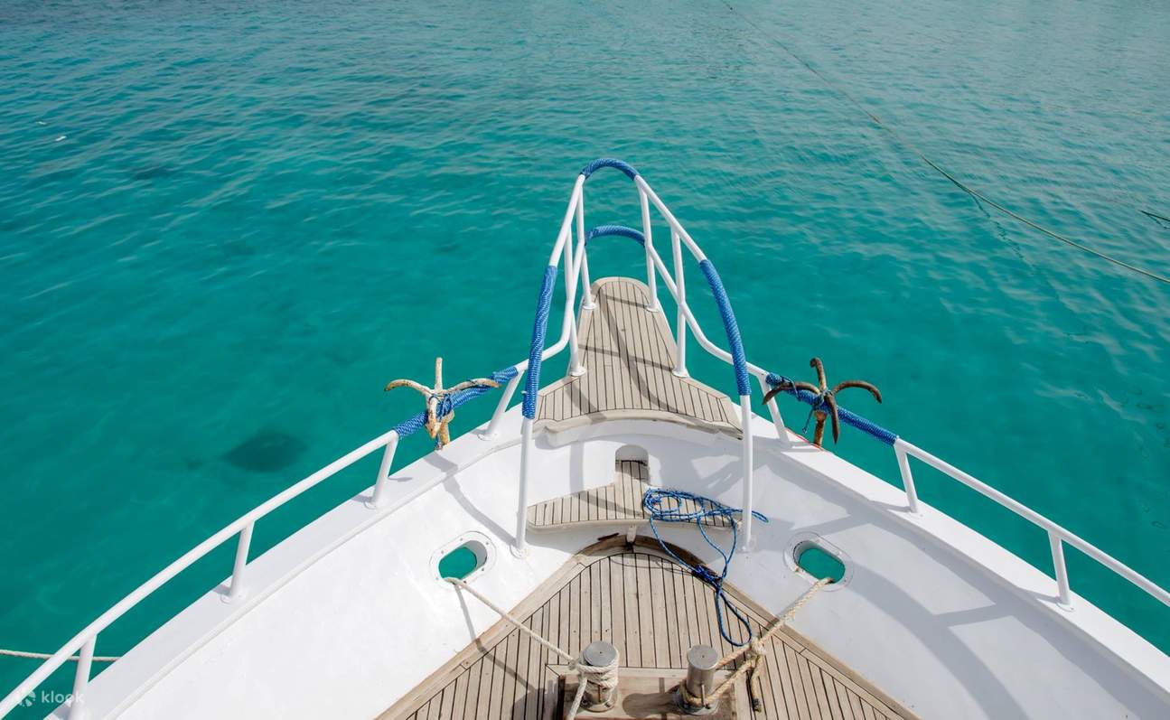 Excursión de esnórquel y almuerzo en Marsa Mubarak con traslado – Marsa Alam