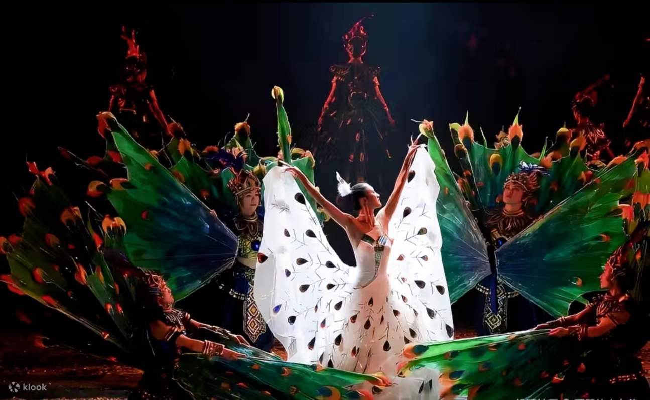 บัตรชมการแสดง Yunnan Impression