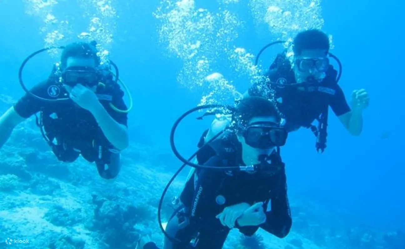 PADI 进阶开放水域课程