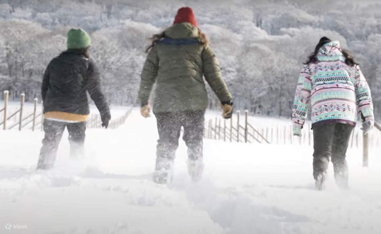 Maoi no Oka ciaspole e terrazza privata invernale
