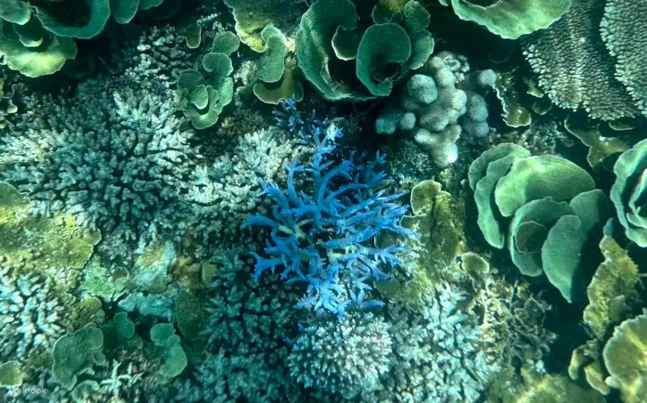 Tour di un giorno all'Isola di Mengalum con esperienza di massaggio