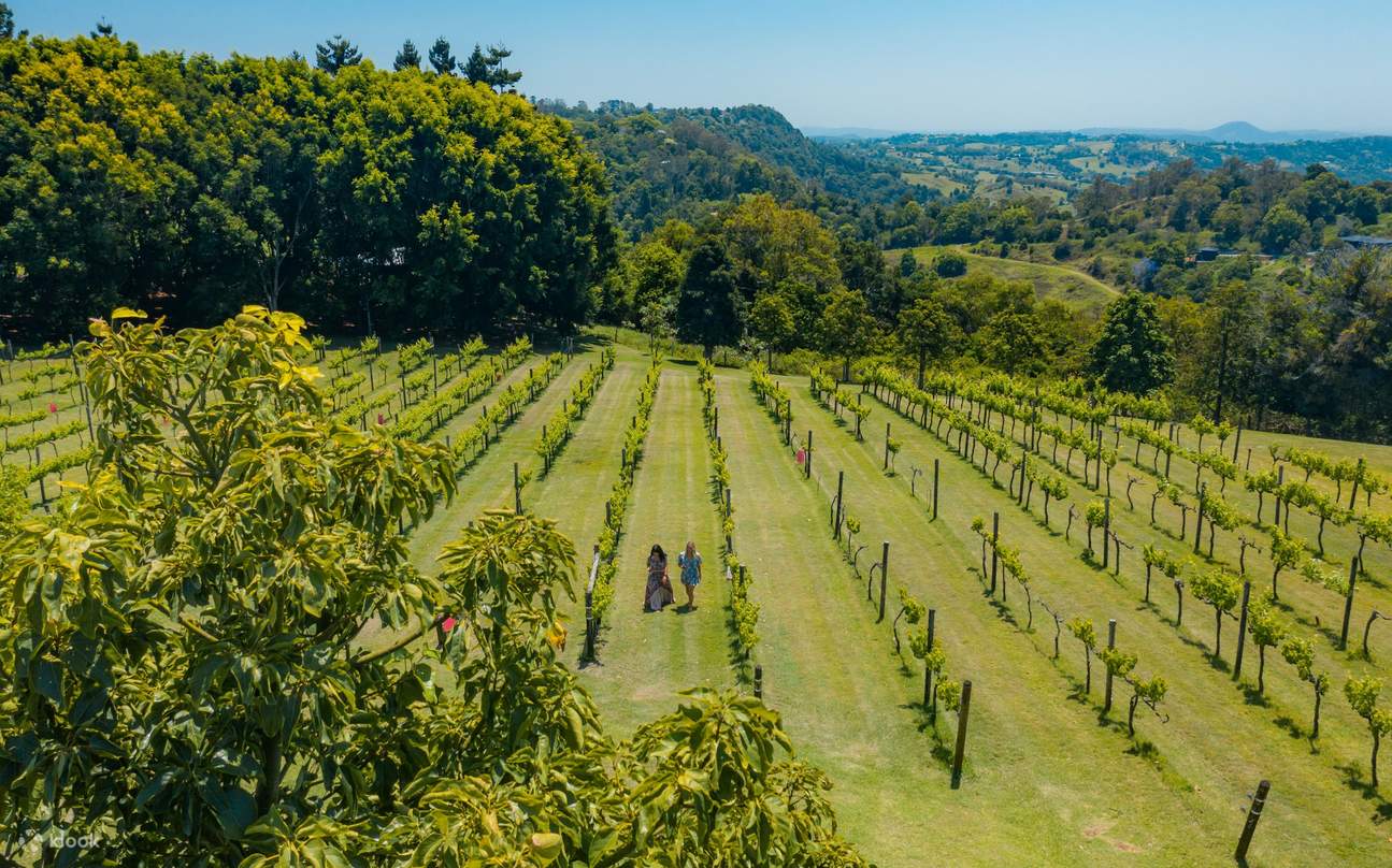 Tour di formaggi e vini nell'entroterra della Sunshine Coast