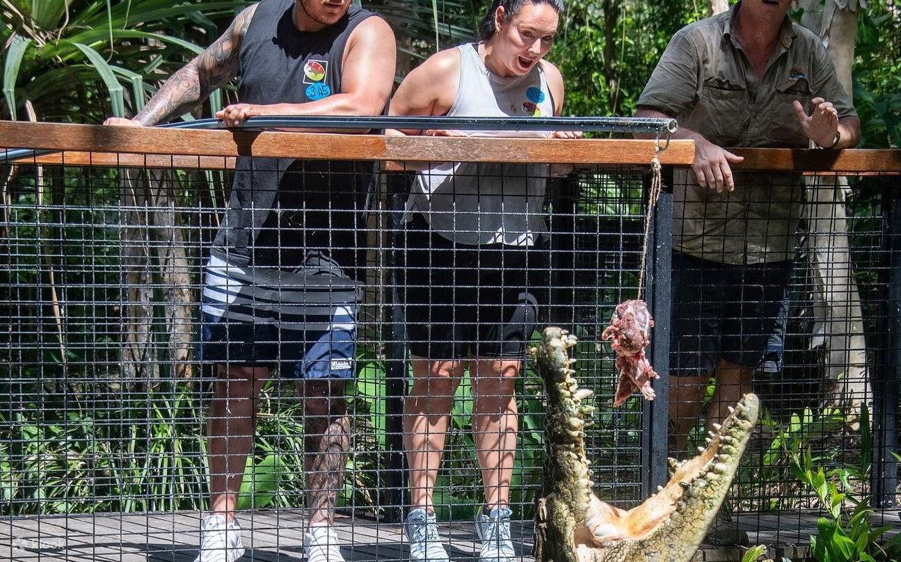 オーストラリアで最も恐ろしい爬虫類に出会い、ワニの魅力的な世界を間近で発見しましょう