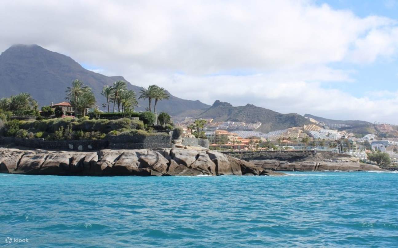 La splendida costa si apre accanto alla barca, creando lo sfondo perfetto per la tua esperienza di osservazione della fauna selvatica.