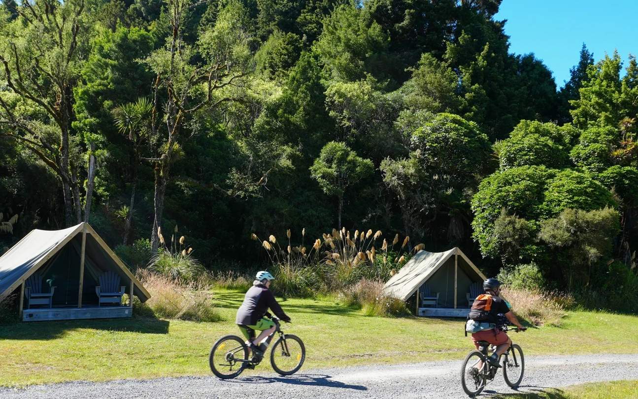 Camp Epic Glamping Experience in Pureora Forest Park - Klook
