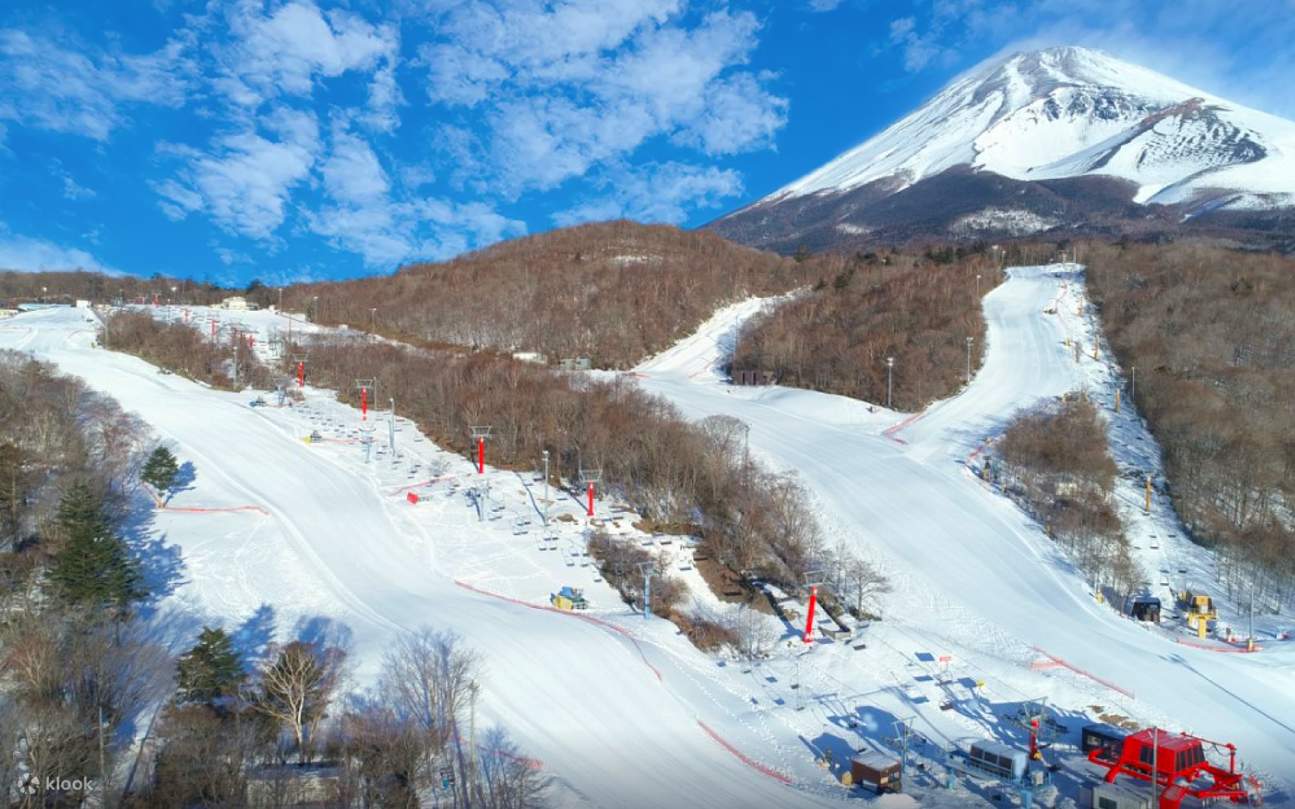 Lawatan Sehari ke Fujiyama Snow Resort Yeti dari Tokyo