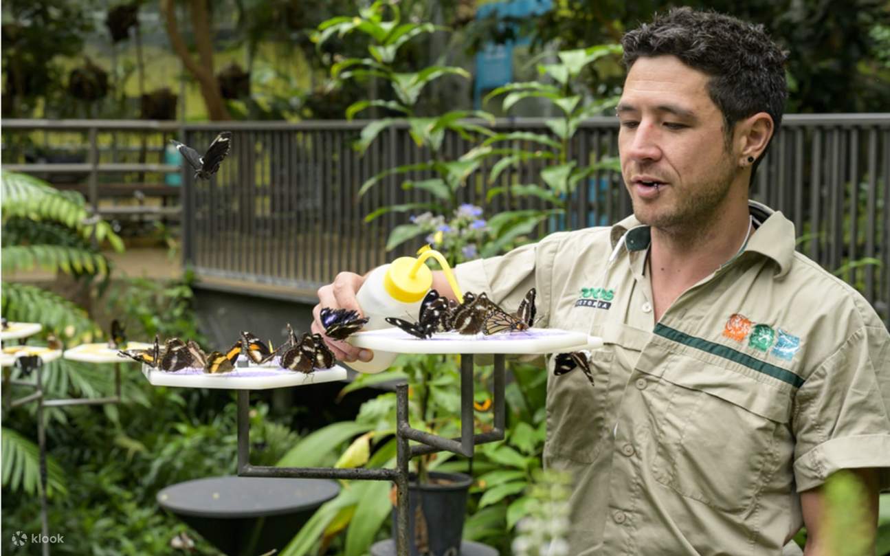 Melbourne Zoo Photos