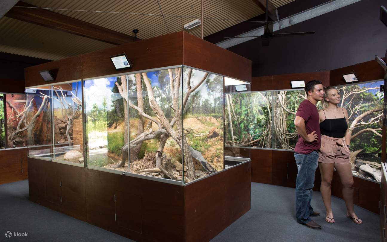 漫步其中，沉浸在北昆士蘭雨林與濕地的豐富資訊中。