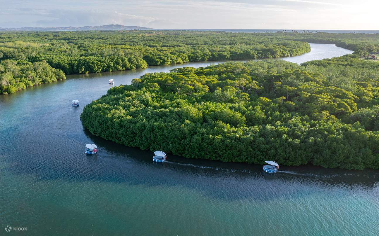 丹娜努島環保電動自駕BBQ遊船體驗（斐濟）