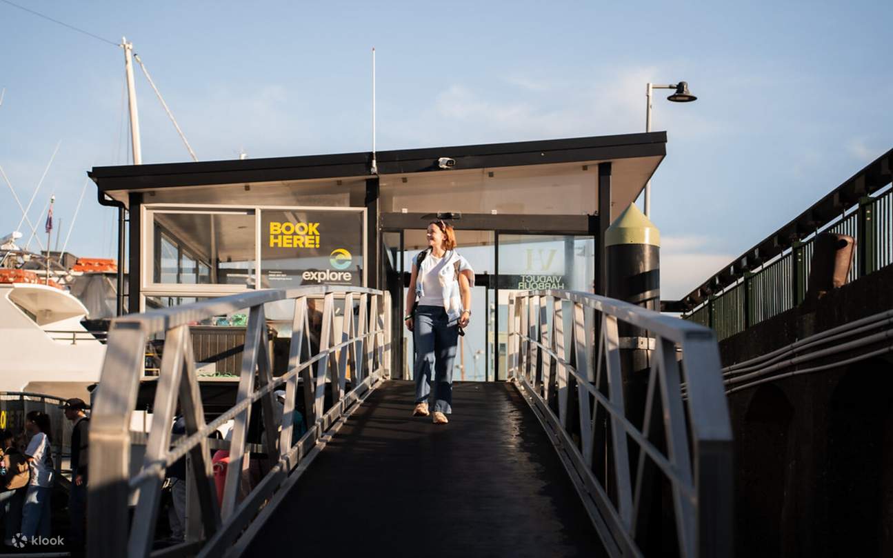 Исследование полуострова Коромандел