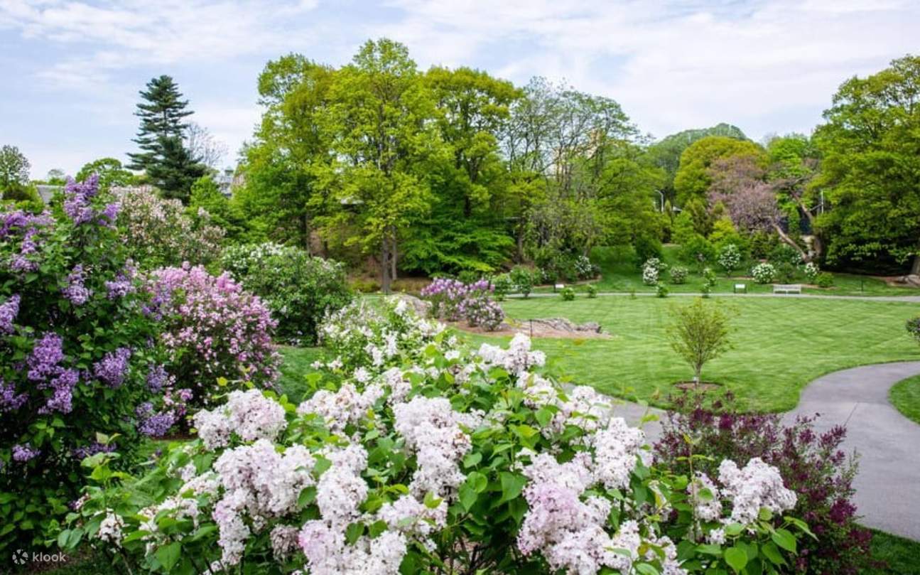 뉴욕에서 마지막으로 보존된 고대 삼림을 거닐어보세요