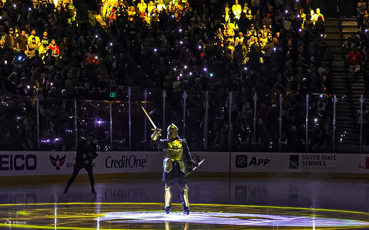 Salute the roaring crowd beneath arena lights before the unforgettable championship showdown begins