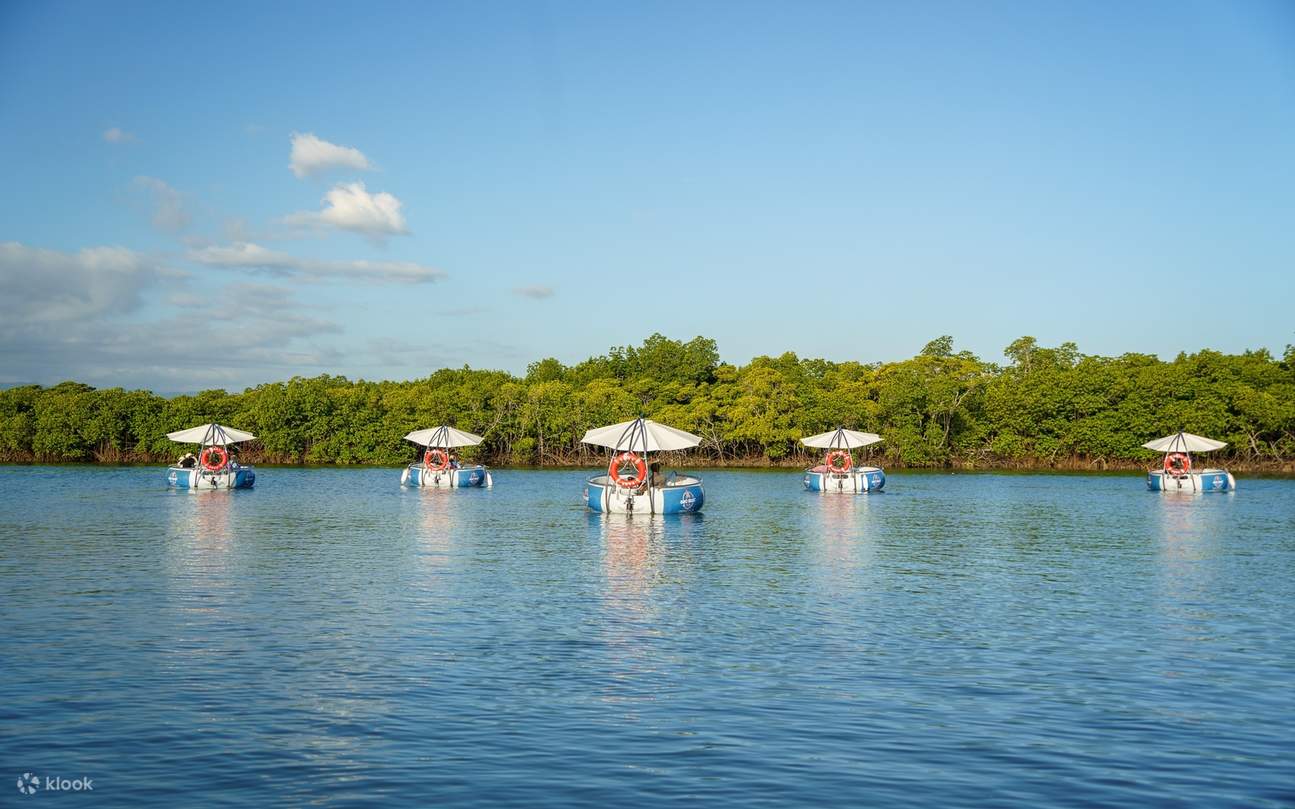 フィジー デナラウ島 エコ電気式セルフドライブBBQボートクルーズ
