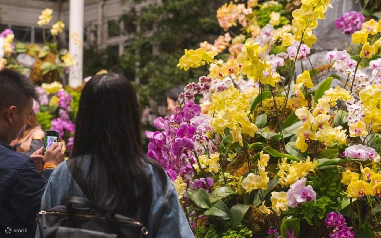 뉴욕 여행을 계획 중인 가족, 연인, 자연을 사랑하는 분들에게 추천합니다.