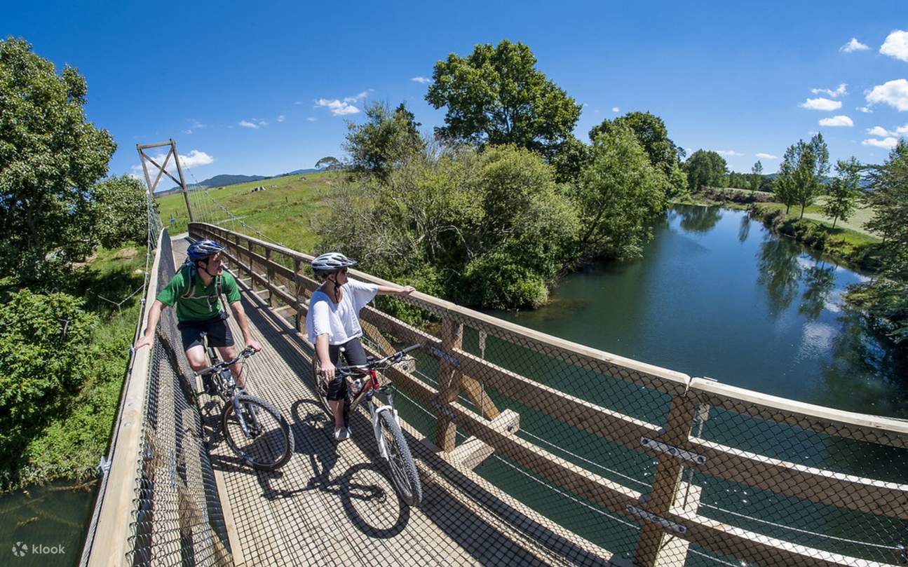 Experiencia de Exploración de la Península de Coromandel