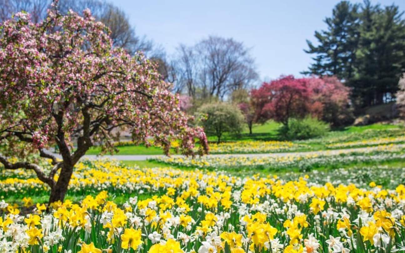 Visit 50 curated gardens and plant collections with the All Garden Pass admission