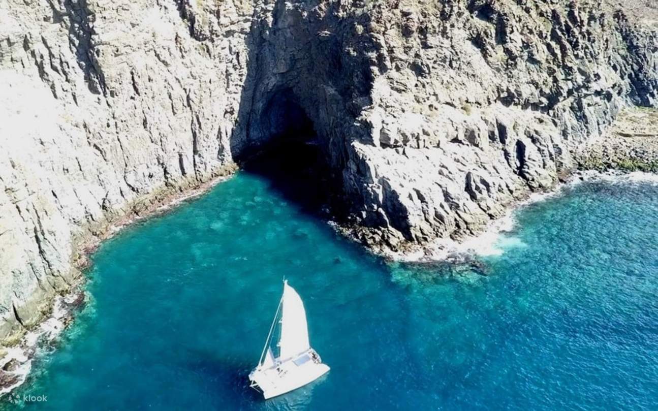 Elegante navigazione in catamarano lungo la costa di Tenerife, che offre emozionanti avvistamenti di balene e delfini in mari cristallini