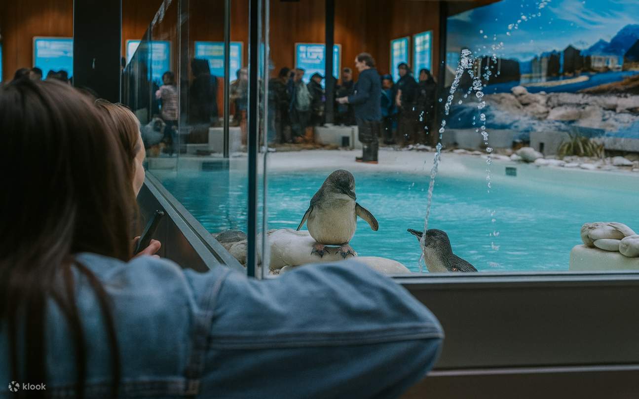 Vé Trung Tâm Động Vật Hoang Dã West Coast